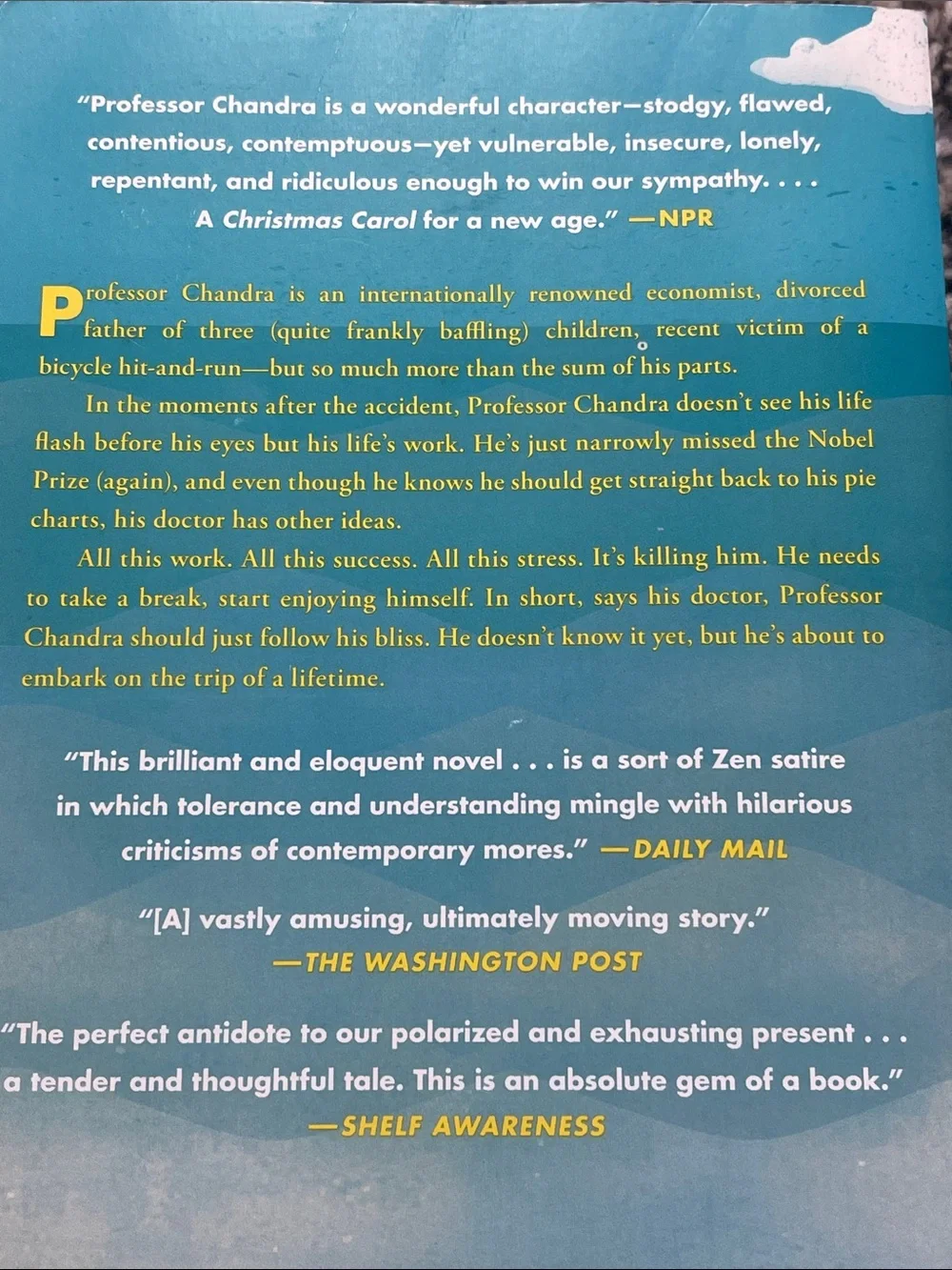 Book: professor Chandra follows his Bliss by Rajeev Balasubramanyam